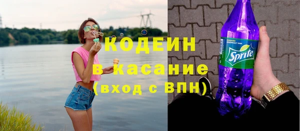 дурь Елизово