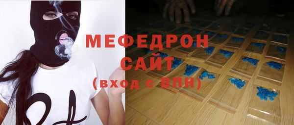 индика Тавда