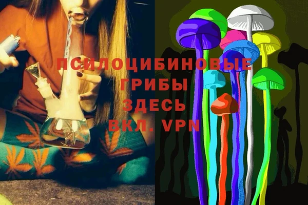 кристаллы Ельня