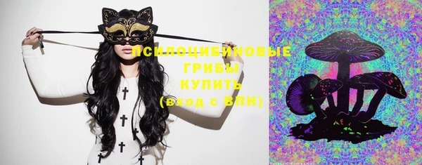 кристаллы Ельня
