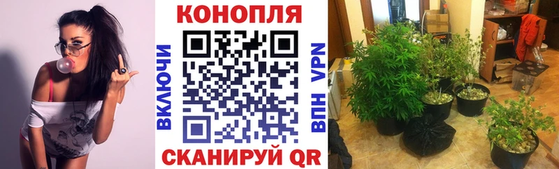Бошки Шишки тримм  Пласт 